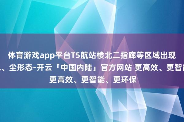 体育游戏app平台T5航站楼北二指廊等区域出现5分40秒风、尘形态-开云「中国内陆」官方网站 更高效、更智能、更环保