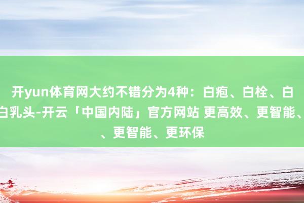 开yun体育网大约不错分为4种：白疱、白栓、白溃疡、白乳头-开云「中国内陆」官方网站 更高效、更智能、更环保