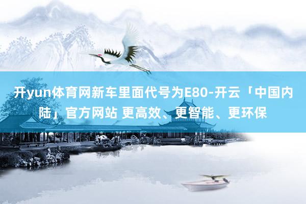 开yun体育网新车里面代号为E80-开云「中国内陆」官方网站 更高效、更智能、更环保