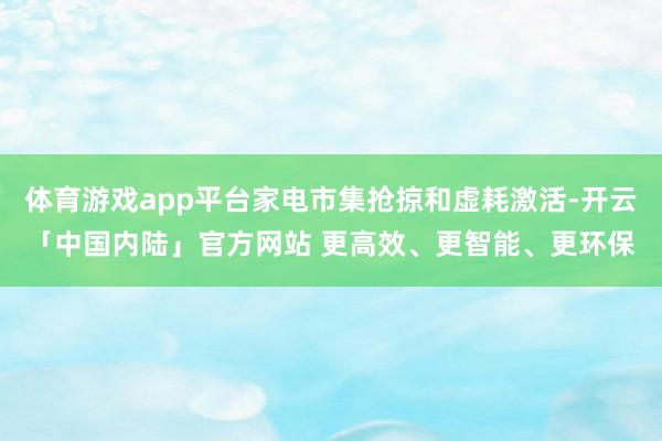 体育游戏app平台家电市集抢掠和虚耗激活-开云「中国内陆」官方网站 更高效、更智能、更环保