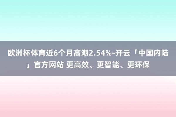 欧洲杯体育近6个月高潮2.54%-开云「中国内陆」官方网站 更高效、更智能、更环保
