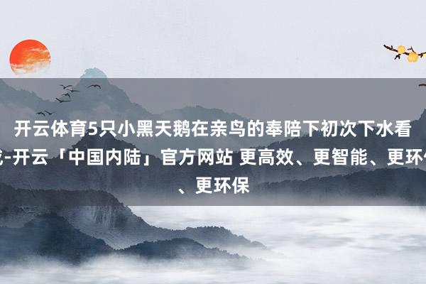 开云体育5只小黑天鹅在亲鸟的奉陪下初次下水看成-开云「中国内陆」官方网站 更高效、更智能、更环保