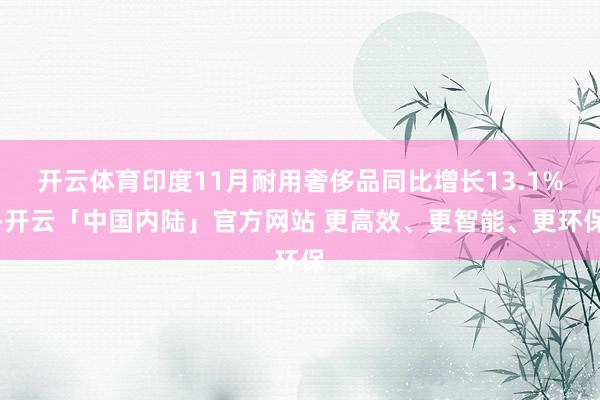 开云体育印度11月耐用奢侈品同比增长13.1%-开云「中国内陆」官方网站 更高效、更智能、更环保
