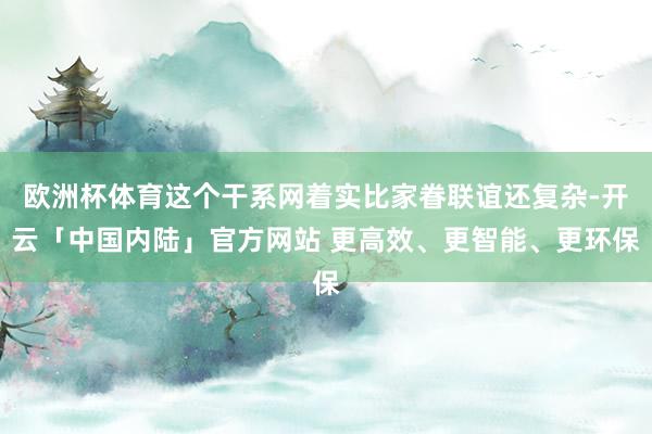 欧洲杯体育这个干系网着实比家眷联谊还复杂-开云「中国内陆」官方网站 更高效、更智能、更环保