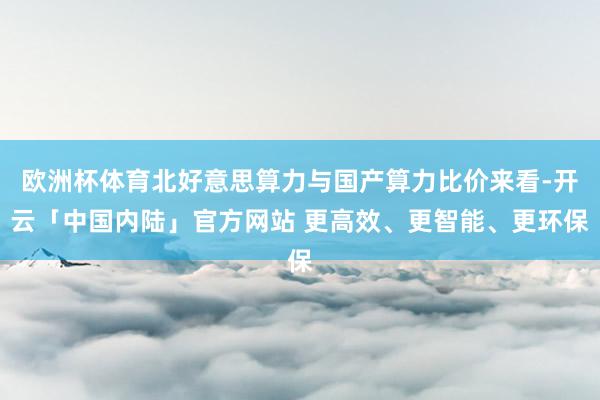 欧洲杯体育北好意思算力与国产算力比价来看-开云「中国内陆」官方网站 更高效、更智能、更环保