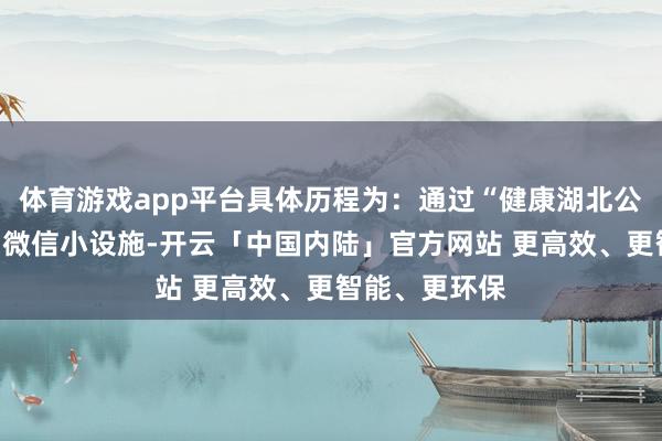 体育游戏app平台具体历程为:通过“健康湖北公众就业平台”微信小设施-开云「中国内陆」官方网站 更高效、更智能、更环保