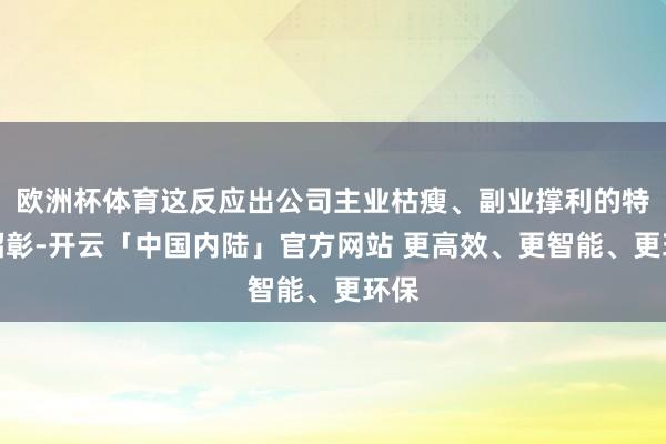 欧洲杯体育这反应出公司主业枯瘦、副业撑利的特征昭彰-开云「中国内陆」官方网站 更高效、更智能、更环保