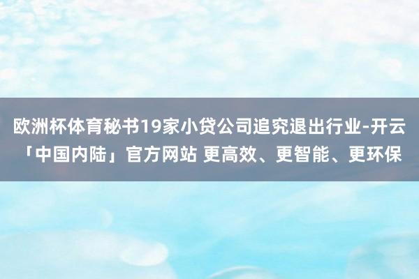 欧洲杯体育秘书19家小贷公司追究退出行业-开云「中国内陆」官方网站 更高效、更智能、更环保