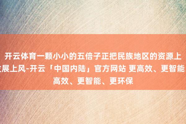 开云体育一颗小小的五倍子正把民族地区的资源上风变成发展上风-开云「中国内陆」官方网站 更高效、更智能、更环保