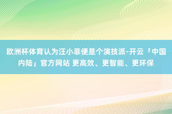 欧洲杯体育认为汪小菲便是个演技派-开云「中国内陆」官方网站 更高效、更智能、更环保