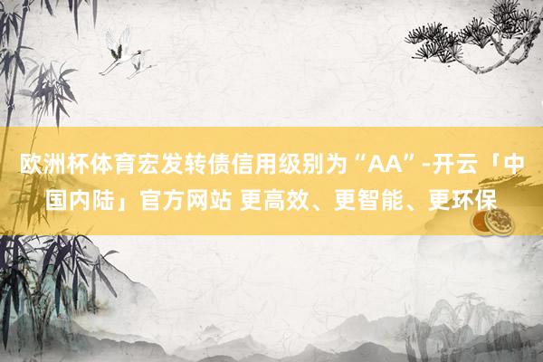 欧洲杯体育宏发转债信用级别为“AA”-开云「中国内陆」官方网站 更高效、更智能、更环保