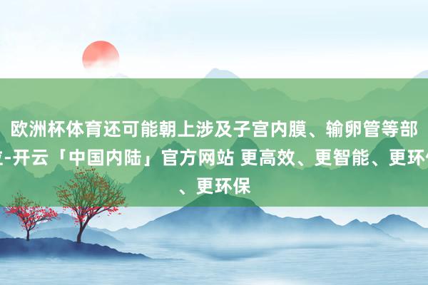 欧洲杯体育还可能朝上涉及子宫内膜、输卵管等部位-开云「中国内陆」官方网站 更高效、更智能、更环保