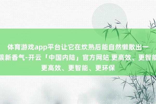 体育游戏app平台让它在炊熟后能自然懒散出一样竹叶的簇新香气-开云「中国内陆」官方网站 更高效、更智能、更环保