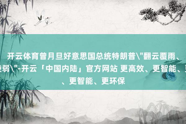 开云体育曾月旦好意思国总统特朗普