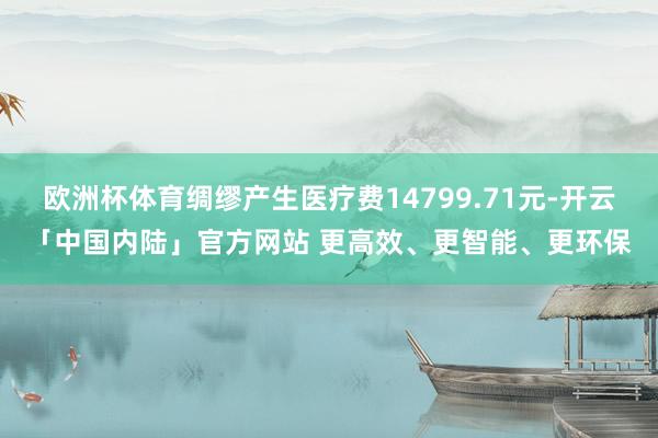 欧洲杯体育绸缪产生医疗费14799.71元-开云「中国内陆」官方网站 更高效、更智能、更环保